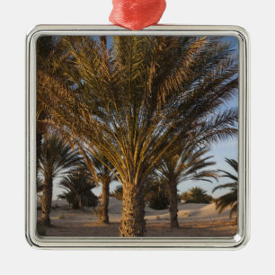 Tunisia, Sahara Desert, Douz, Great Dune, palm Metal Tree Decoration