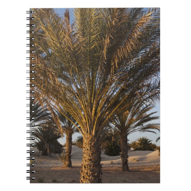 Tunisia, Sahara Desert, Douz, Great Dune, palm Notebook (Front)
