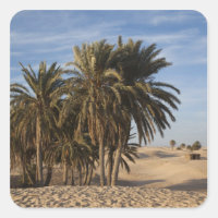 Tunisia, Sahara Desert, Douz, Great Dune, palm