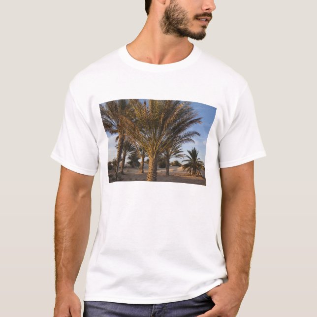 Tunisia, Sahara Desert, Douz, Great Dune, palm T-Shirt (Front)