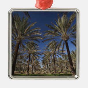 Tunisia, Sahara Desert, Douz, Zone Touristique, 2 Metal Tree Decoration