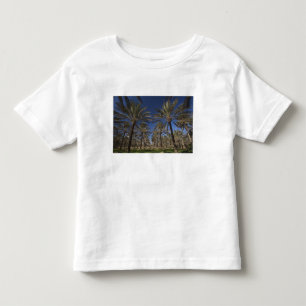 Tunisia, Sahara Desert, Douz, Zone Touristique, 2 Toddler T-Shirt