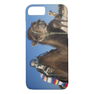 Tunisia, Sahara Desert, Douz, Zone Touristique, iPhone 8/7 Case