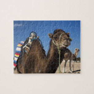Tunisia, Sahara Desert, Douz, Zone Touristique, Jigsaw Puzzle