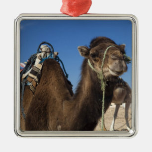 Tunisia, Sahara Desert, Douz, Zone Touristique, Metal Tree Decoration