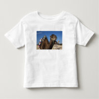 Tunisia, Sahara Desert, Douz, Zone Touristique,