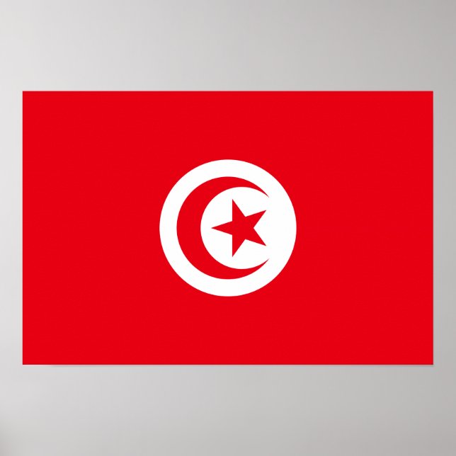 Tunisia - Tunisian Flag Poster (Front)