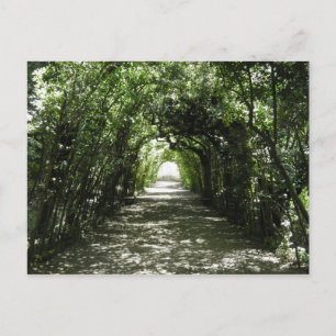 Tunnel of Green Postcard