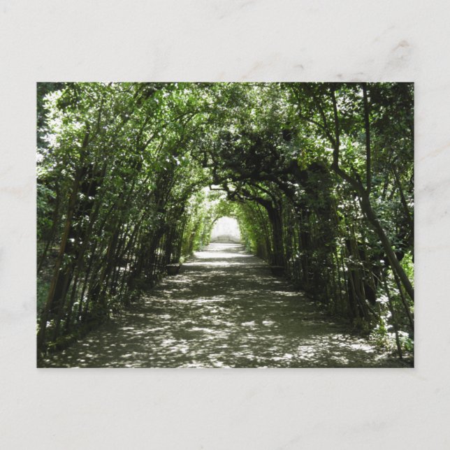 Tunnel of Green Postcard (Front)