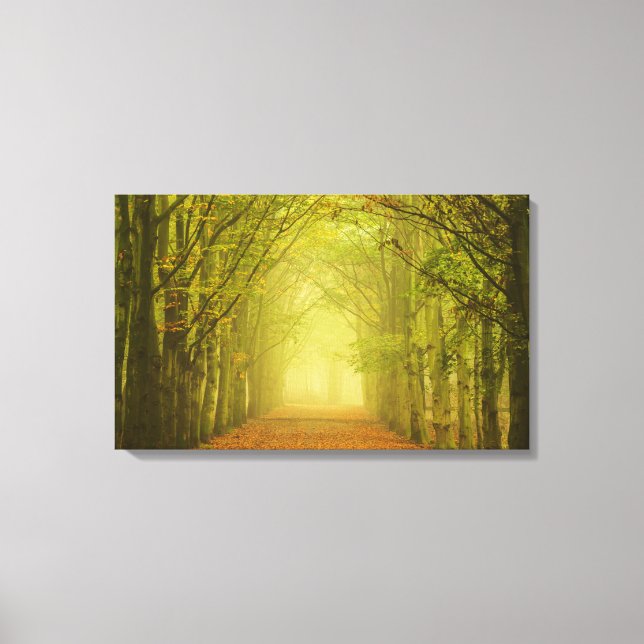 Tunnel of light canvas print (Front)