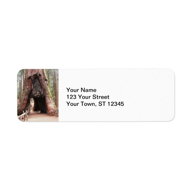 Tunnel Tree- Yosemite (Front)