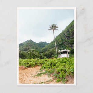 Tunnels Beach Tropical Kauai Lifeguard Tower Postcard