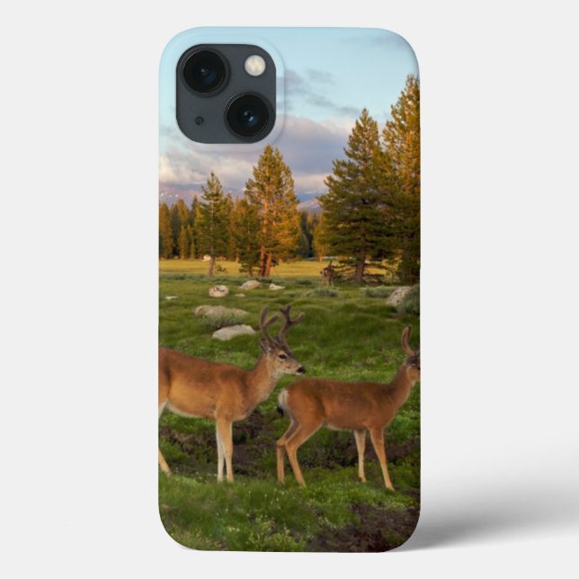 Tuolumne Meadow, Yosemite Case-Mate iPhone Case (Back)
