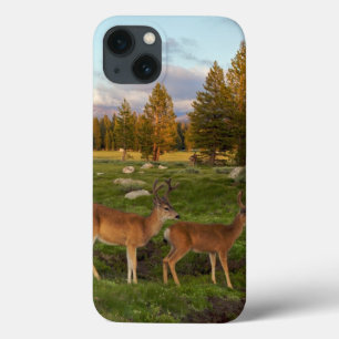 Tuolumne Meadow, Yosemite iPhone 13 Case