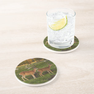 Tuolumne Meadow, Yosemite Coaster
