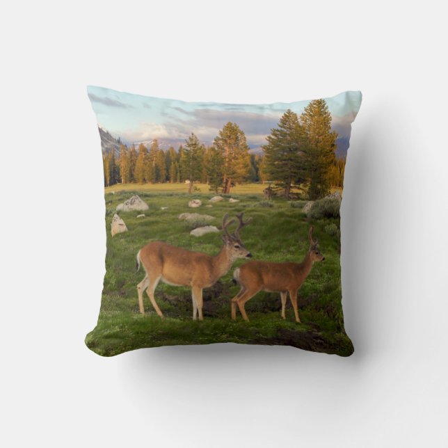 Tuolumne Meadow, Yosemite Cushion (Front)
