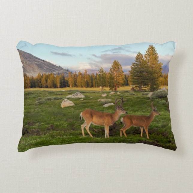 Tuolumne Meadow, Yosemite Decorative Cushion (Front)