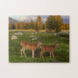 Tuolumne Meadow, Yosemite Jigsaw Puzzle