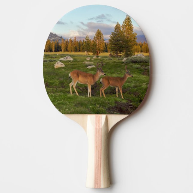 Tuolumne Meadow, Yosemite Ping Pong Paddle (Front)