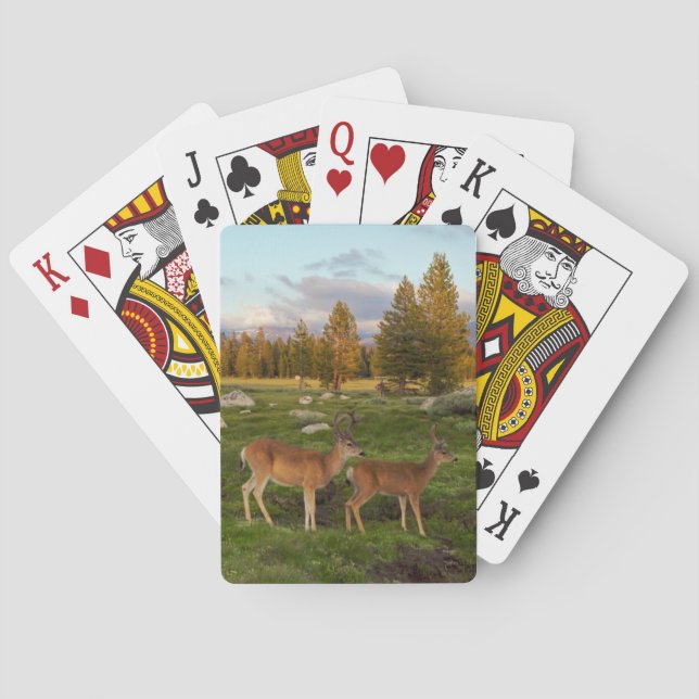 Tuolumne Meadow, Yosemite Playing Cards (Back)