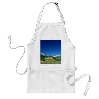 Tuolumne Meadows With The Moon Setting Standard Apron