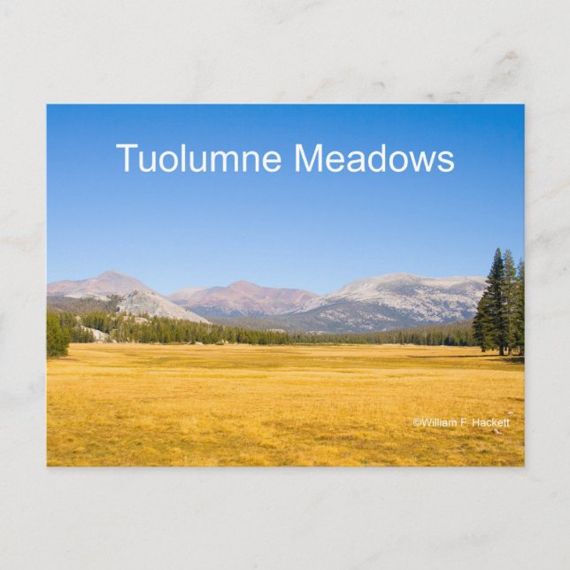 Tuolumne Meadows Yosemite California Products Postcard (Front)