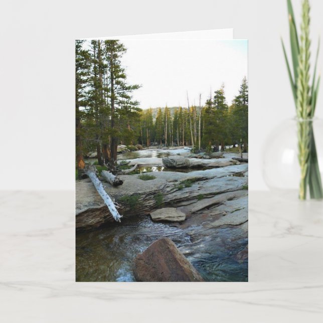 Tuolumne River by Campground, Yosemite, CA Card (Front)