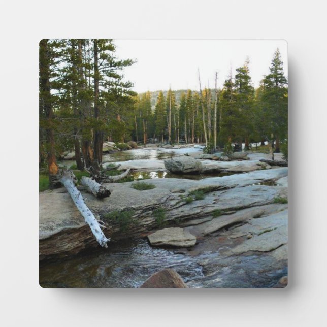 Tuolumne River by Campground, Yosemite, CA Plaque (Front)