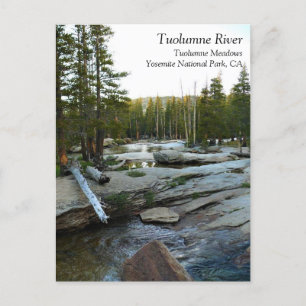 Tuolumne River by Campground, Yosemite, CA Postcar Postcard
