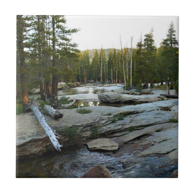 Tuolumne River by Campground, Yosemite, CA Tile (Front)