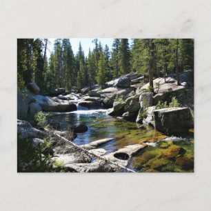 Tuolumne River in Tuolumne Meadows, Yosemite, CA Postcard