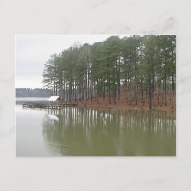 Tupelo Lakeside Reflections Landscape Photography Postcard (Front)