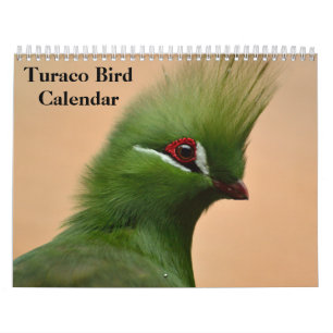 Turaco Bird 2025 Calendar