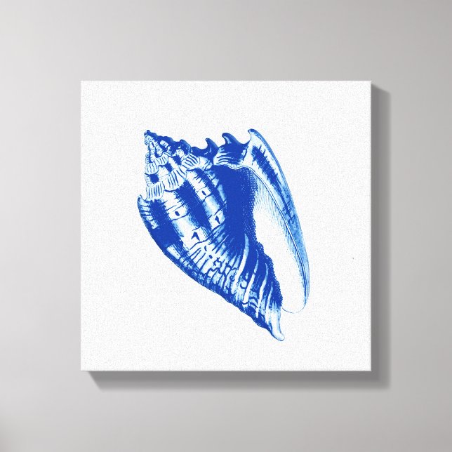 Turban Conch Shell, Indigo Blue and White Canvas Print (Front)