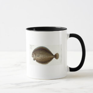 Turbot (Pleuronectes Maximus) plate XLIX from 'Ich Mug