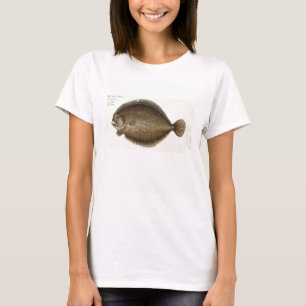 Turbot (Pleuronectes Maximus) plate XLIX from 'Ich T-Shirt