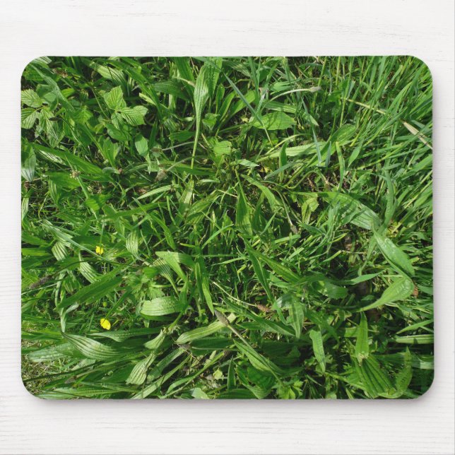 Turf Mouse Mat (Front)