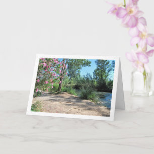 Turia River, Vilamarxant, Valencia, Spain, Spanish Card