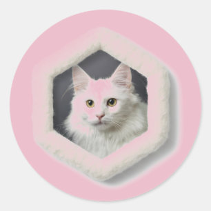 Turk Angora Cat In A Frame - Pink Classic Round Sticker