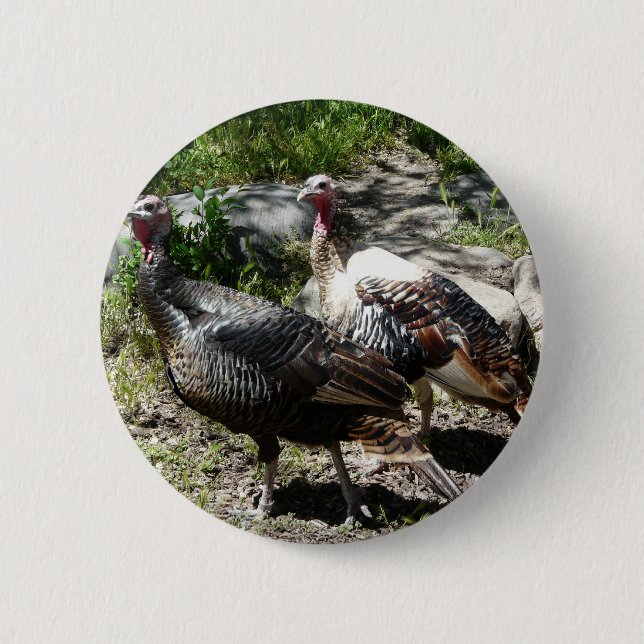 turkey 6 cm round badge (Front)