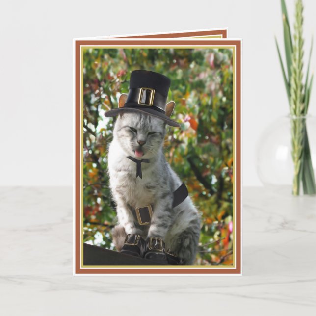 TURKEY AGAIN? Thanksgiving Pilgrim Cat Holiday Card (Front)