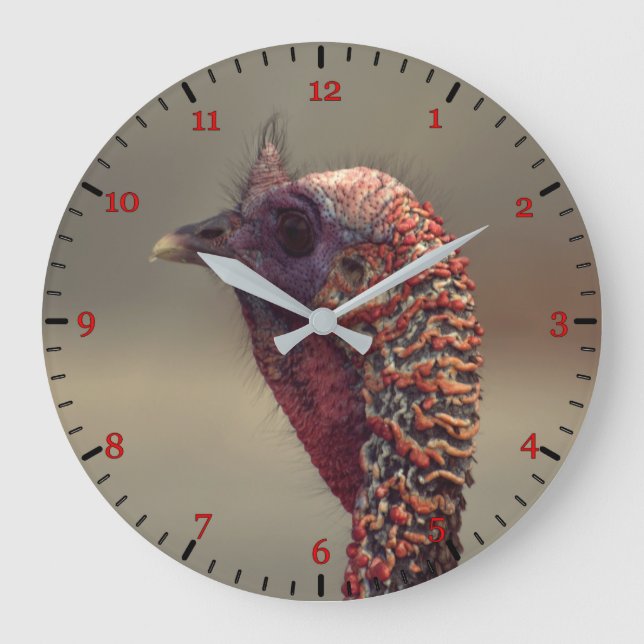 Turkey bird portrait large clock (Front)