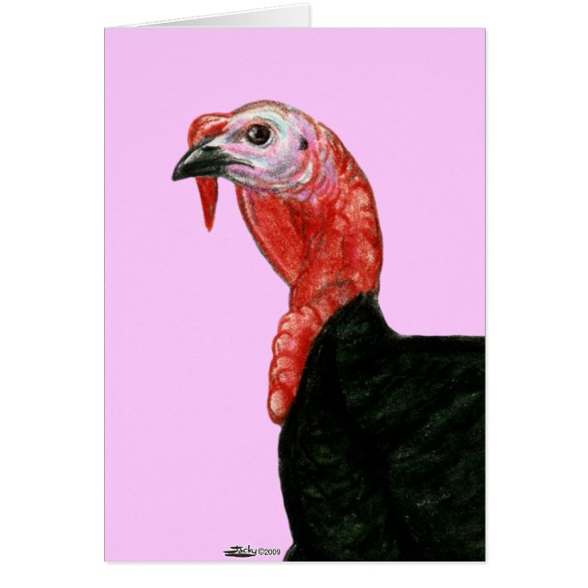 Turkey:  Black Tom Head (Front)