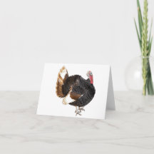 Turkey blank card