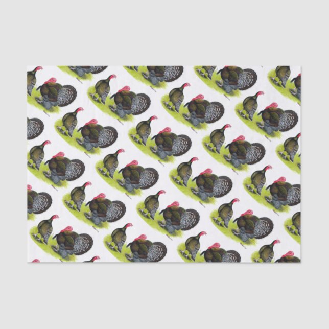 Turkey Broad Breasted Bronze Tissue Paper (Front)