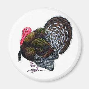 Turkey: Bronze Tom Magnet