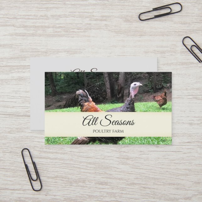 Turkey Business Card (Front/Back In Situ)