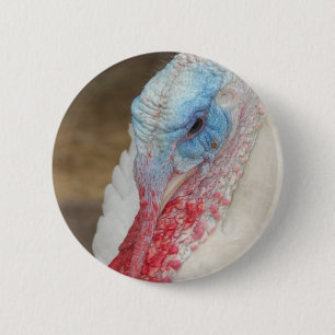 Turkey Button