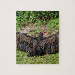 Turkey Buzzards Jigsaw Puzzle