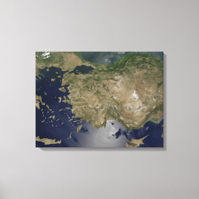 Turkey Canvas Print (Front)